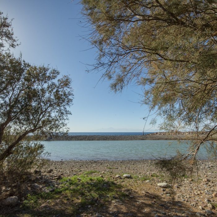 Humedal Marciega ruta guiada